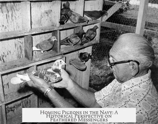 Homing Pigeons in the Navy: A Historical Perspective on Feathered Messengers