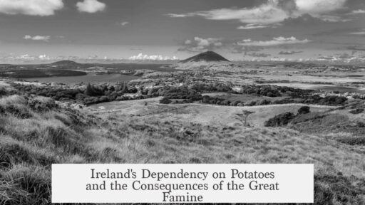 Ireland's Dependency on Potatoes and the Consequences of the Great Famine