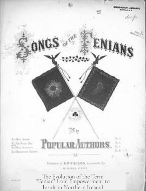 The Evolution of the Term "Fenian" from Empowerment to Insult in Northern Ireland