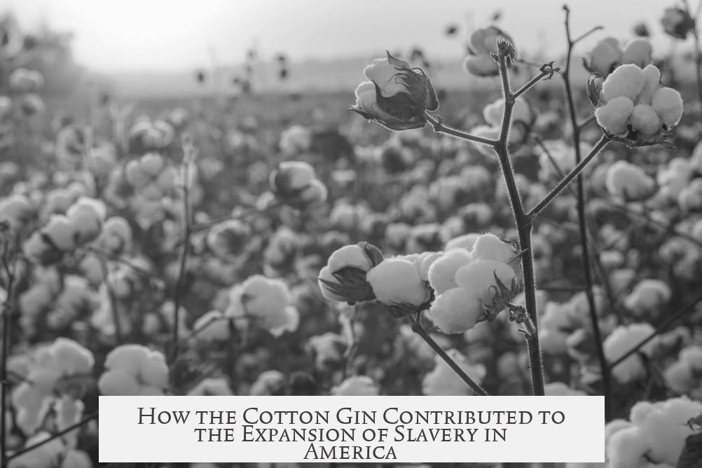 How the Cotton Gin Contributed to the Expansion of Slavery in America