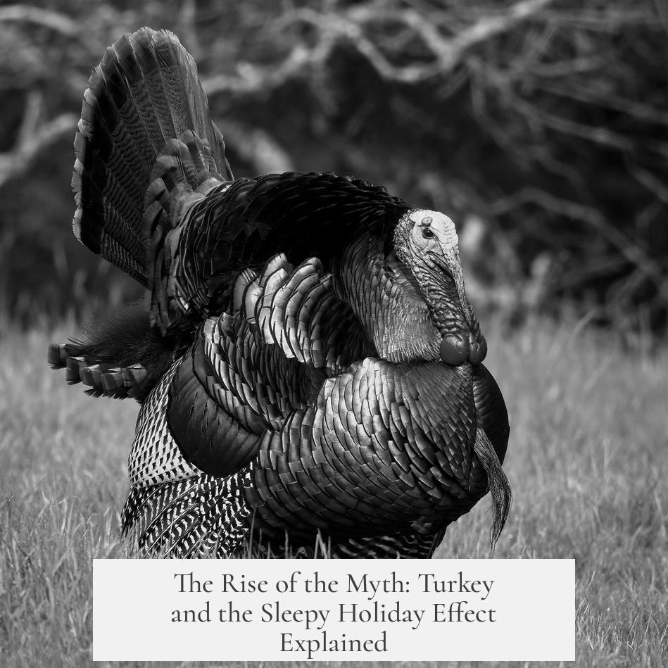 The Rise of the Myth: Turkey and the Sleepy Holiday Effect Explained