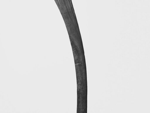 The Boomerang as a Weapon: Effectiveness, Accuracy, and Modern Implications