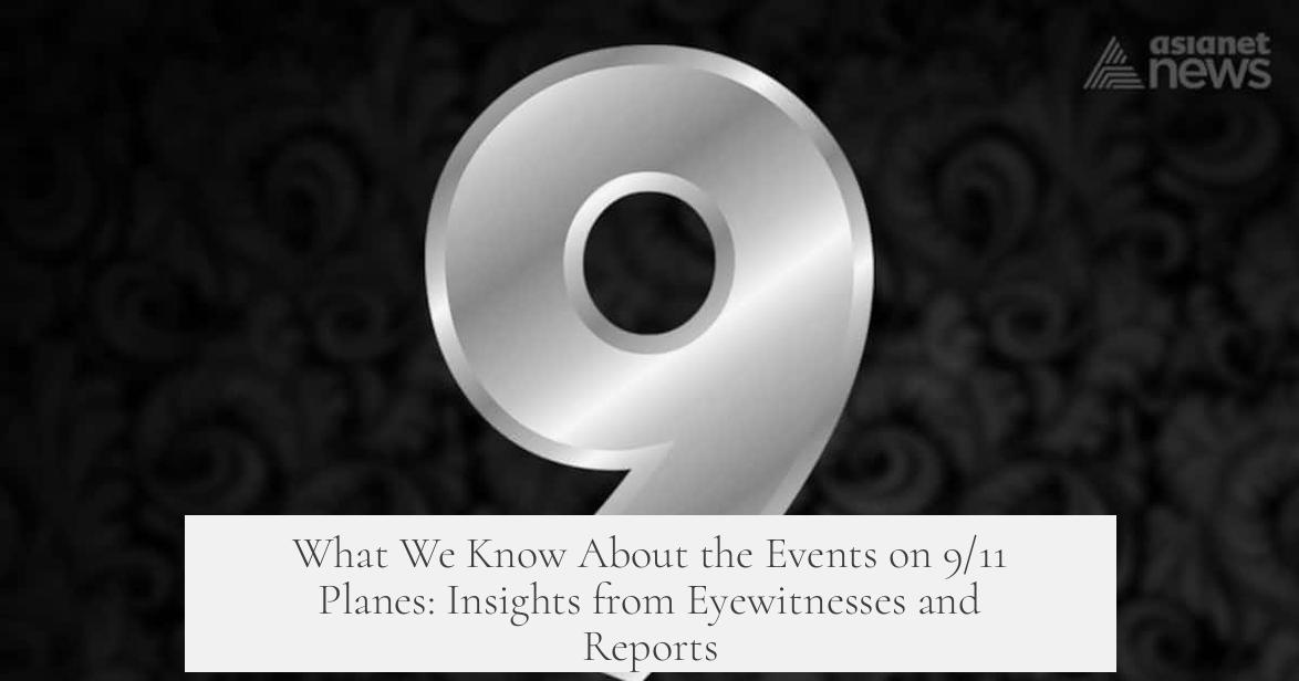 What We Know About the Events on 9/11 Planes: Insights from Eyewitnesses and Reports