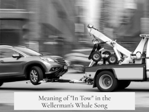 Meaning of "In Tow" in the Wellerman's Whale Song
