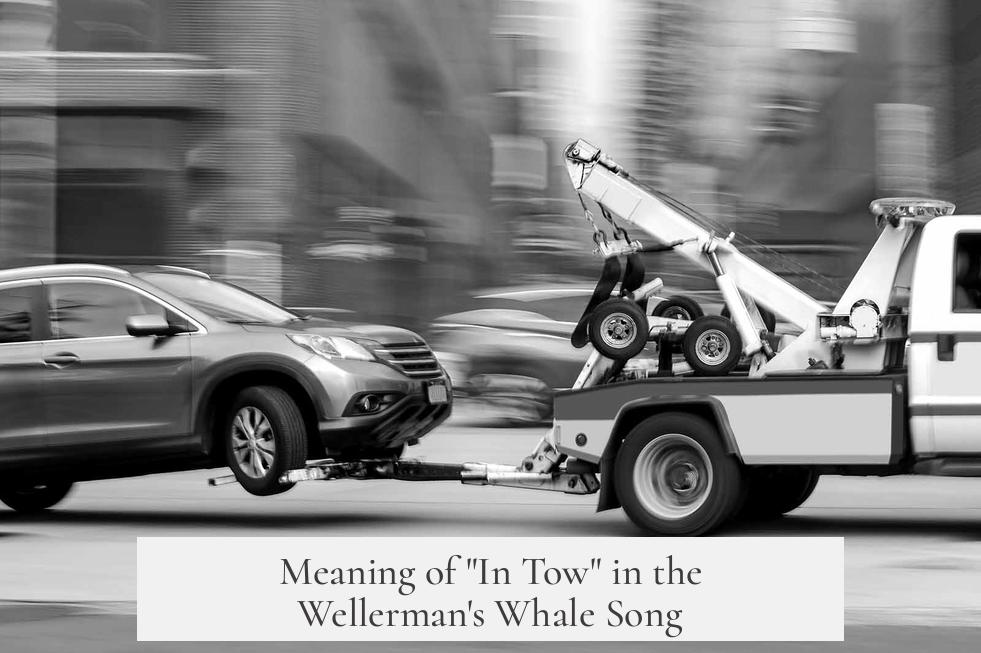 Meaning of "In Tow" in the Wellerman's Whale Song