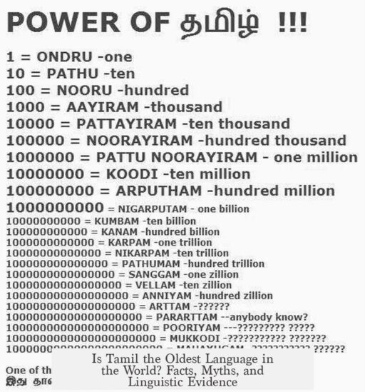 Is Tamil the Oldest Language in the World? Facts, Myths, and Linguistic Evidence