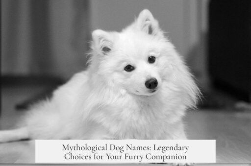 Mythological Dog Names: Legendary Choices for Your Furry Companion