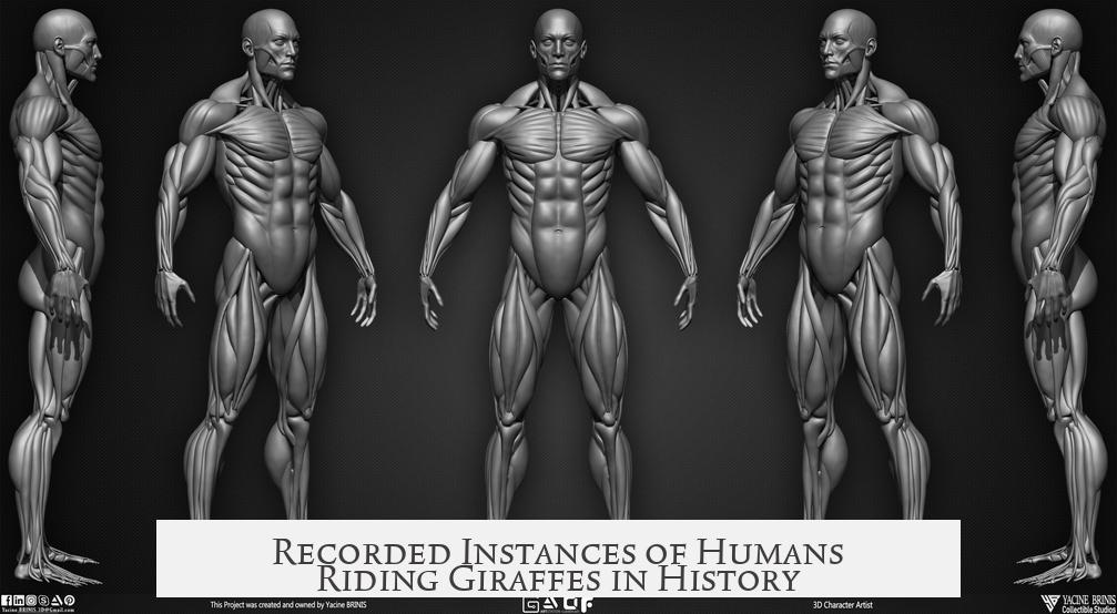 Recorded Instances of Humans Riding Giraffes in History