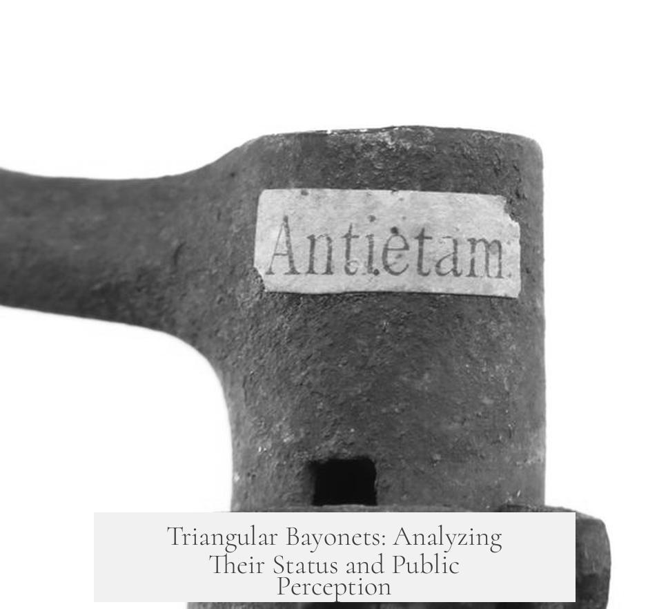 Triangular Bayonets: Analyzing Their Status and Public Perception