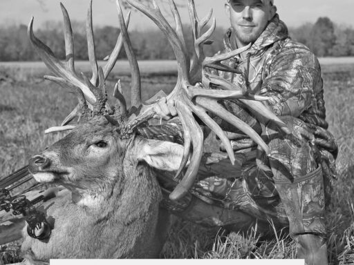 The Truth About Buck Breaking: An Examination of Historical Reality
