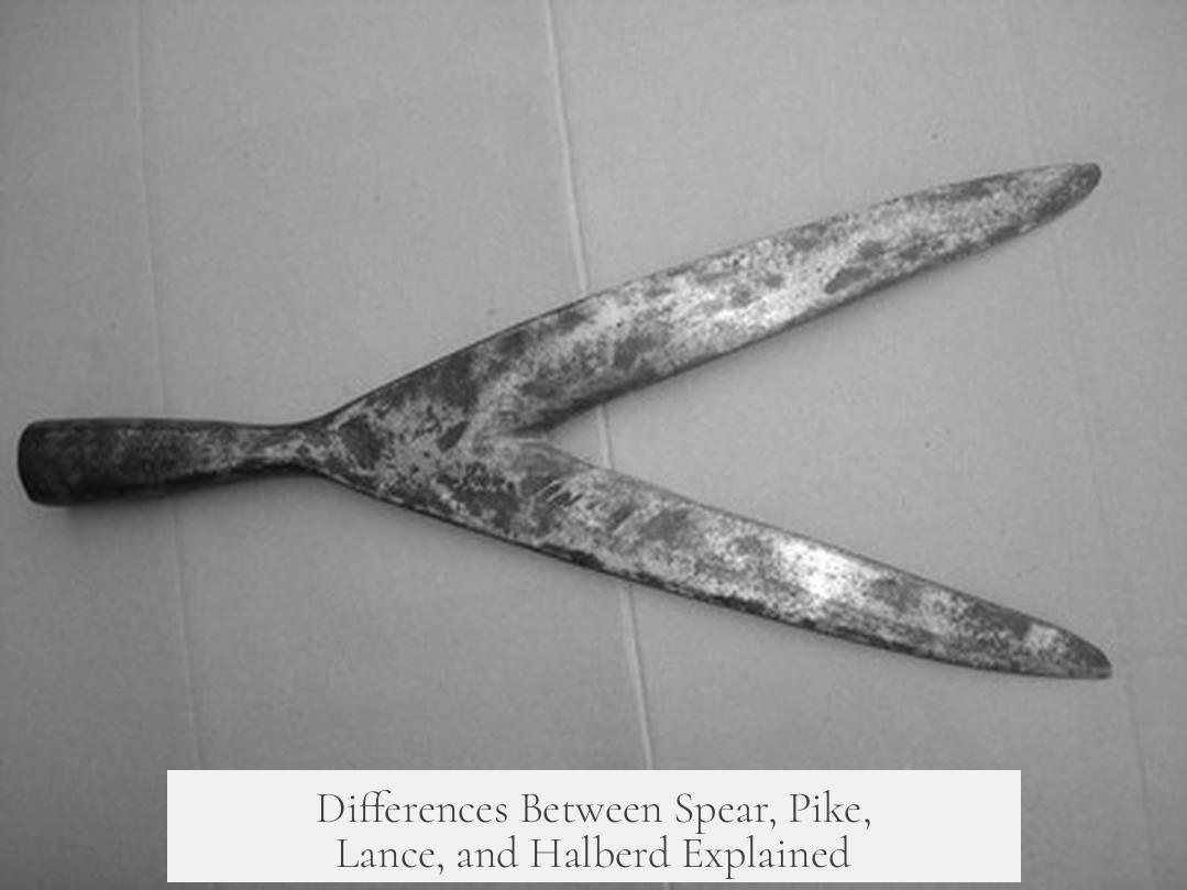 Differences Between Spear, Pike, Lance, and Halberd Explained
