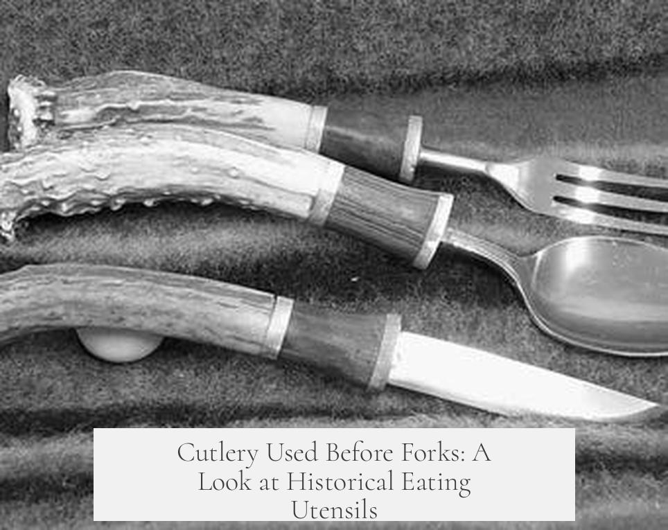 Cutlery Used Before Forks: A Look at Historical Eating Utensils