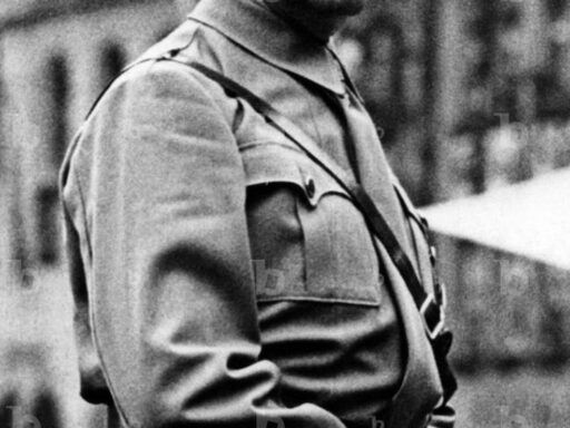 Hitler's Actions During His First Week in Power