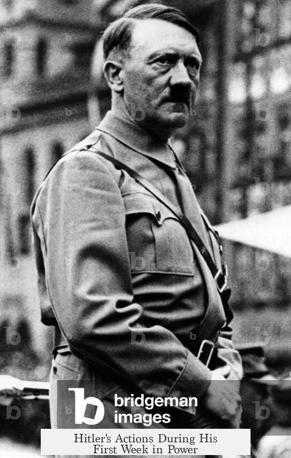 Hitler's Actions During His First Week in Power
