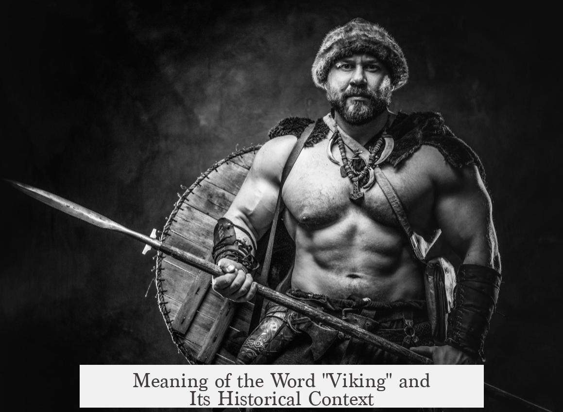 Meaning of the Word "Viking" and Its Historical Context