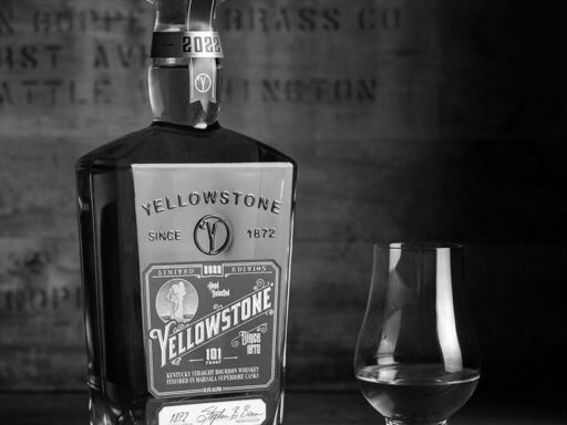 Bourbon Bloodline After the French Republic: Current Status of the Bourbon Family Today