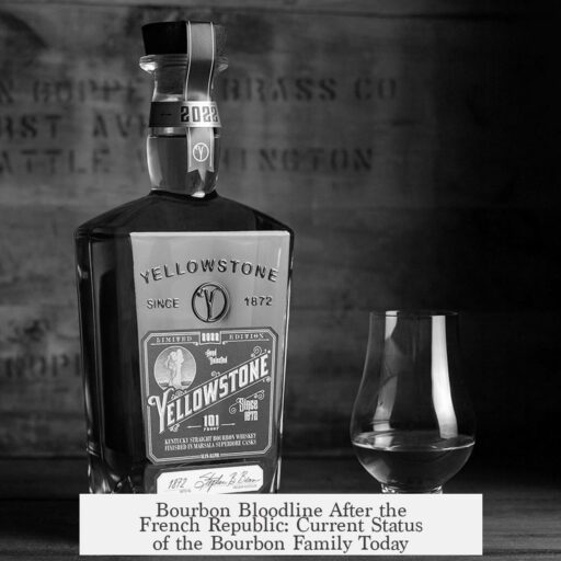 Bourbon Bloodline After the French Republic: Current Status of the Bourbon Family Today