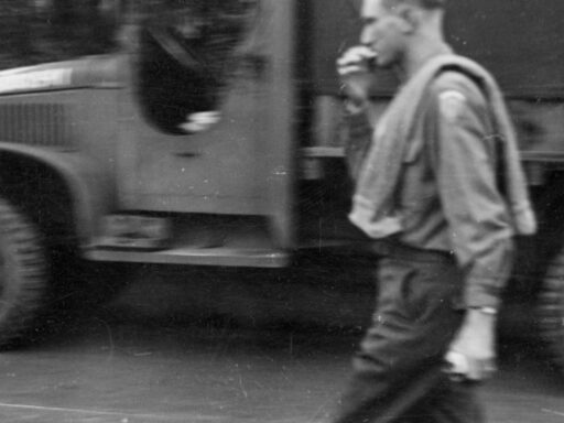The Fate of the Average German Soldier After World War II: Paths of Survival and Reintegration