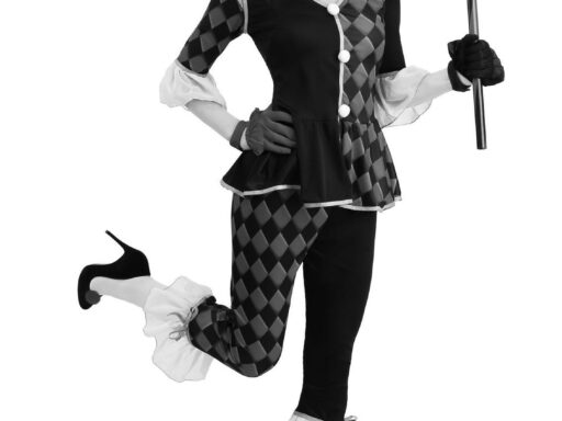 Understanding the Harlequin: History, Culture, and Its Modern Significance