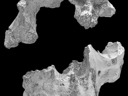 The Oldest Civilization Revealed: Insights from Toolmakers to Göbekli Tepe