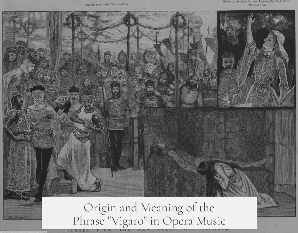 Origin and Meaning of the Phrase "Vigaro" in Opera Music