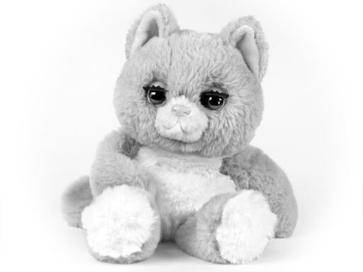The History and Significance of Fuzzy Wuzzy the Bear and His Cultural Roots