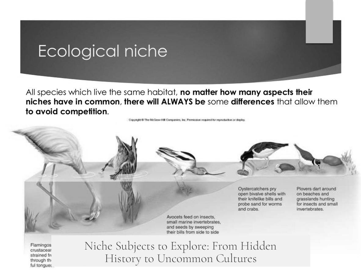 Niche Subjects to Explore: From Hidden History to Uncommon Cultures