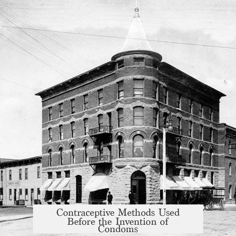 Contraceptive Methods Used Before the Invention of Condoms
