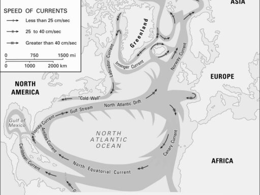 Total Death Toll of the Atlantic Slave Trade: A Historical Overview