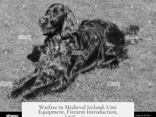 Warfare in Medieval Ireland: Unit Equipment, Firearm Introduction, and Effectiveness