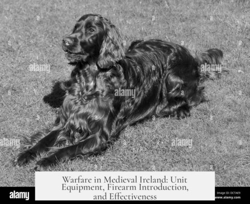 Warfare in Medieval Ireland: Unit Equipment, Firearm Introduction, and Effectiveness