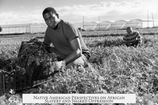Native American Perspectives on African Slavery and Shared Oppression
