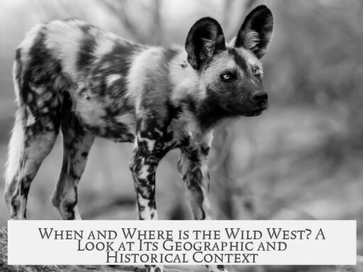 When and Where is the Wild West? A Look at Its Geographic and Historical Context