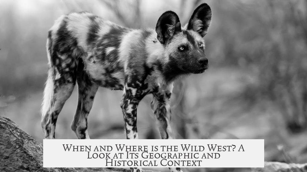 When and Where is the Wild West? A Look at Its Geographic and Historical Context