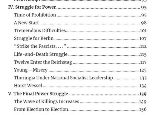 Hitler and the NSDAP: Timeline of Their Rise in German Politics