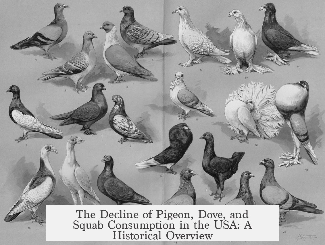 The Decline of Pigeon, Dove, and Squab Consumption in the USA: A Historical Overview