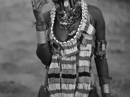 Origins of African-Americans: Central and Western Africa's Influence