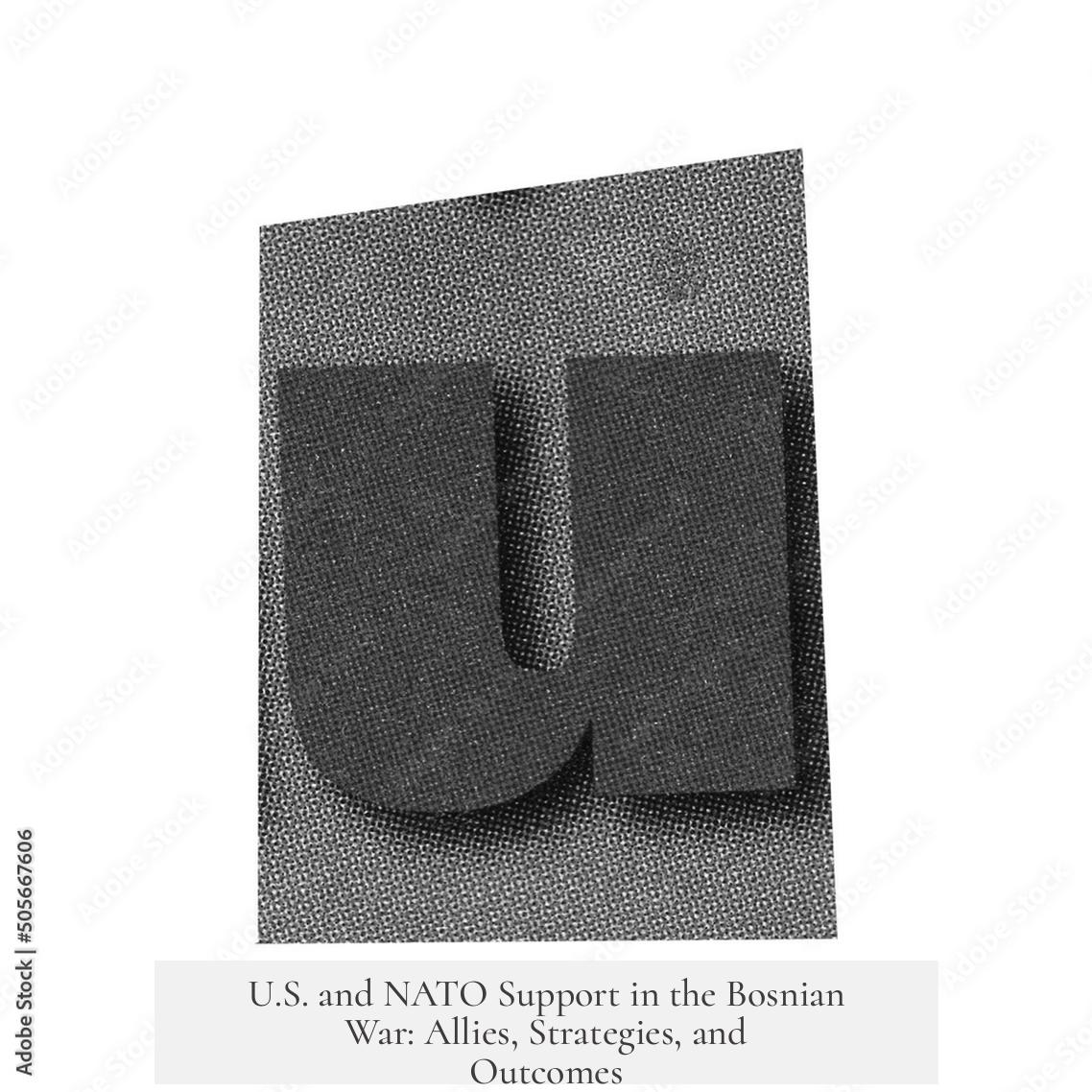 U.S. and NATO Support in the Bosnian War: Allies, Strategies, and Outcomes