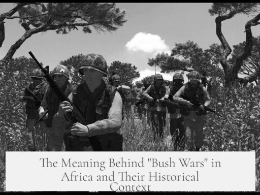 The Meaning Behind "Bush Wars" in Africa and Their Historical Context