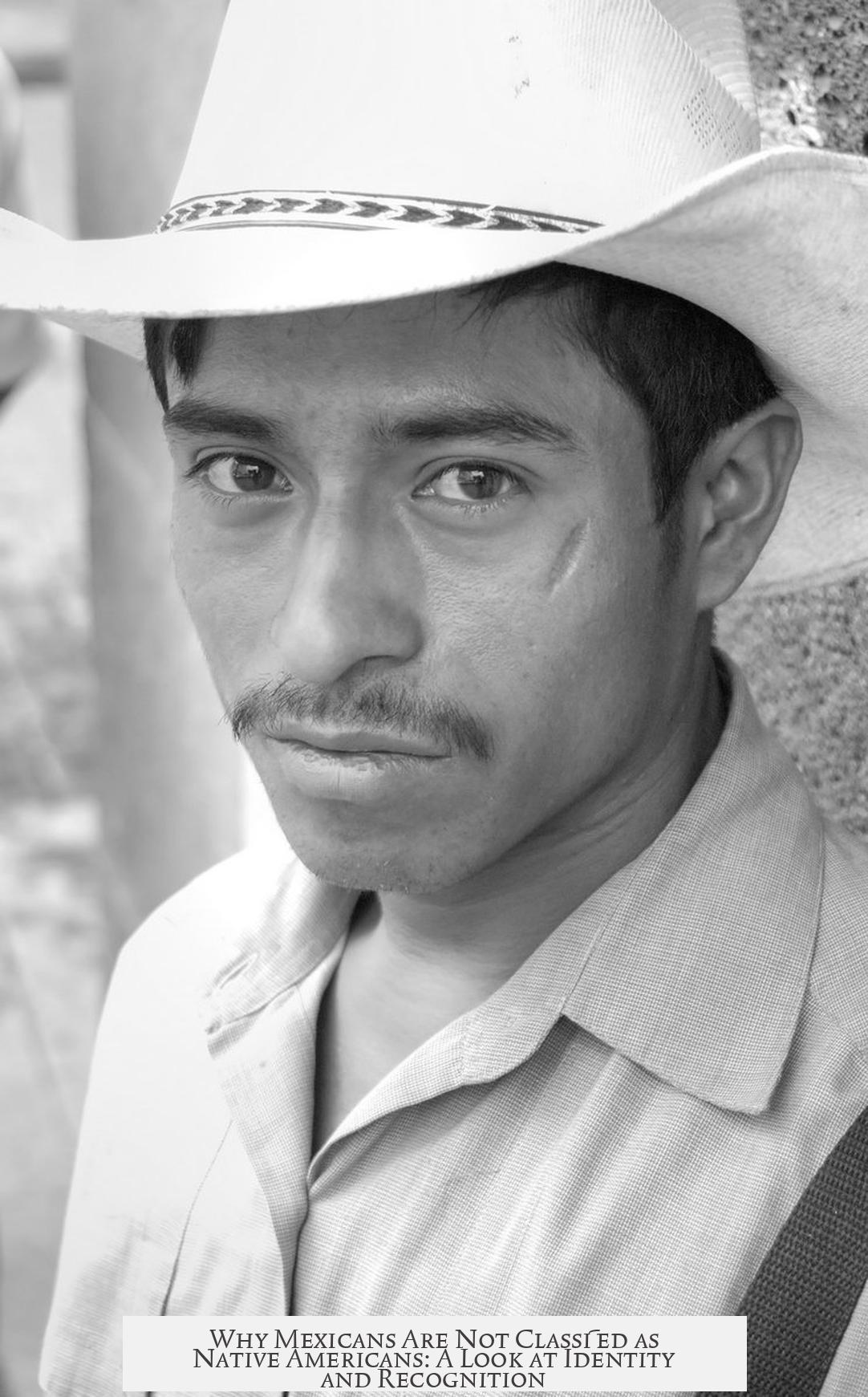 Why Mexicans Are Not Classified as Native Americans: A Look at Identity and Recognition
