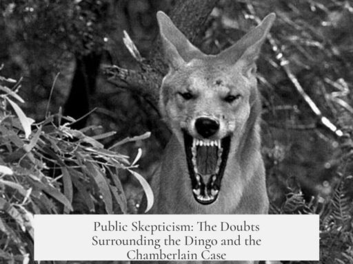 Public Skepticism: The Doubts Surrounding the Dingo and the Chamberlain Case