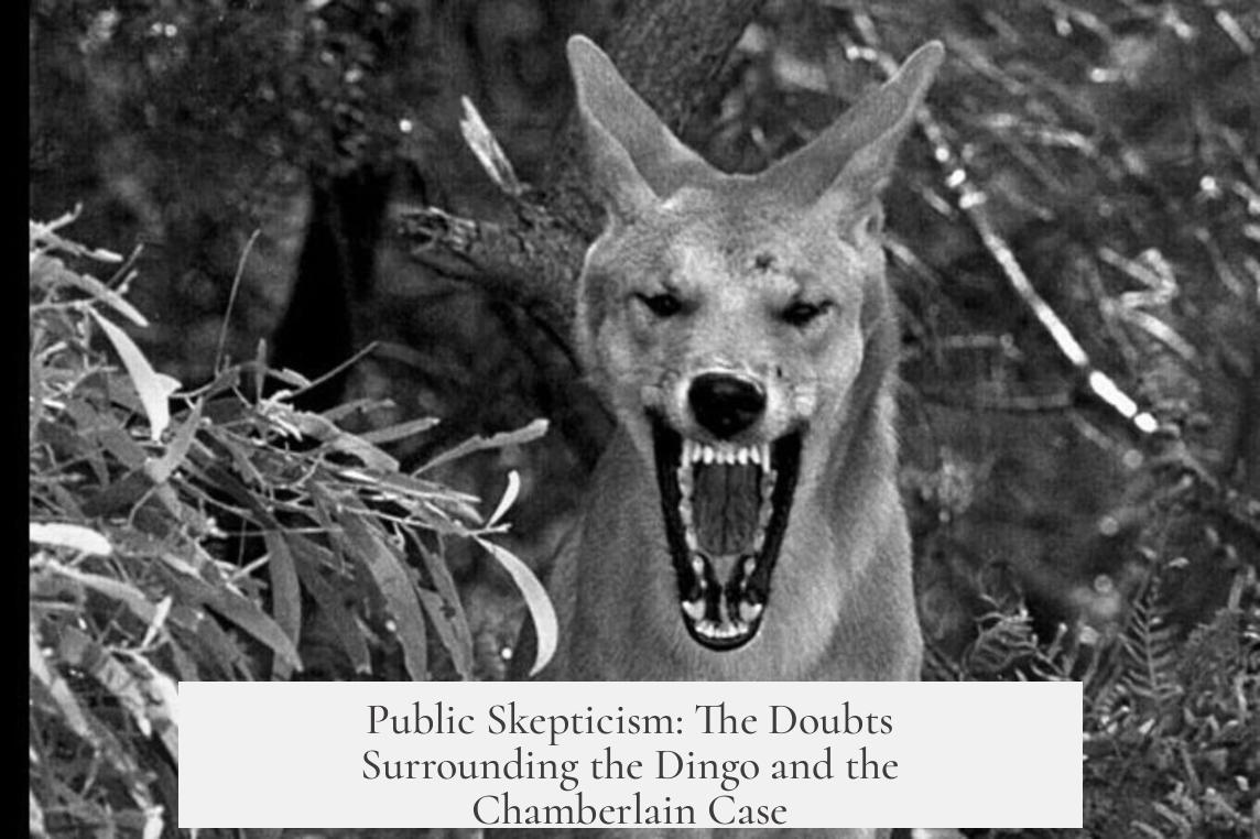 Public Skepticism: The Doubts Surrounding the Dingo and the Chamberlain Case