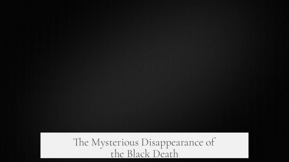 The Mysterious Disappearance of the Black Death
