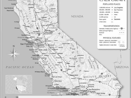 The Short-Lived California Gold Rush: Reasons for Its Rapid Decline
