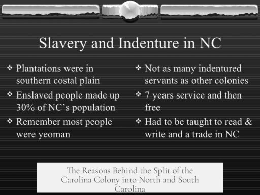 The Reasons Behind the Split of the Carolina Colony into North and South Carolina