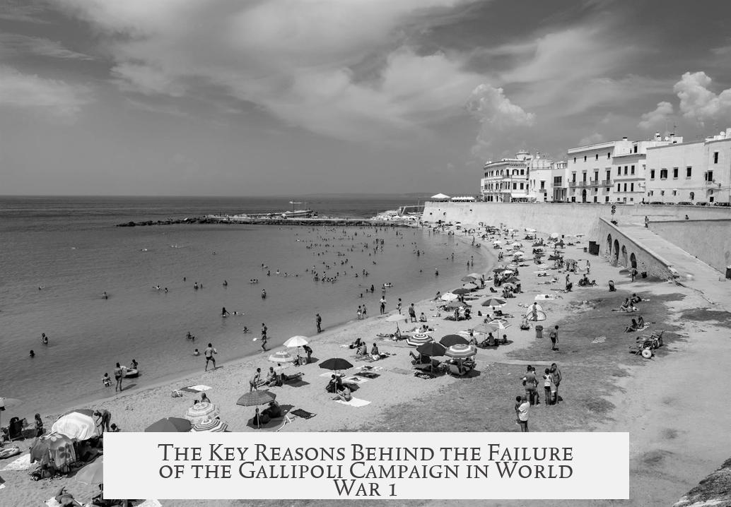 The Key Reasons Behind the Failure of the Gallipoli Campaign in World War 1
