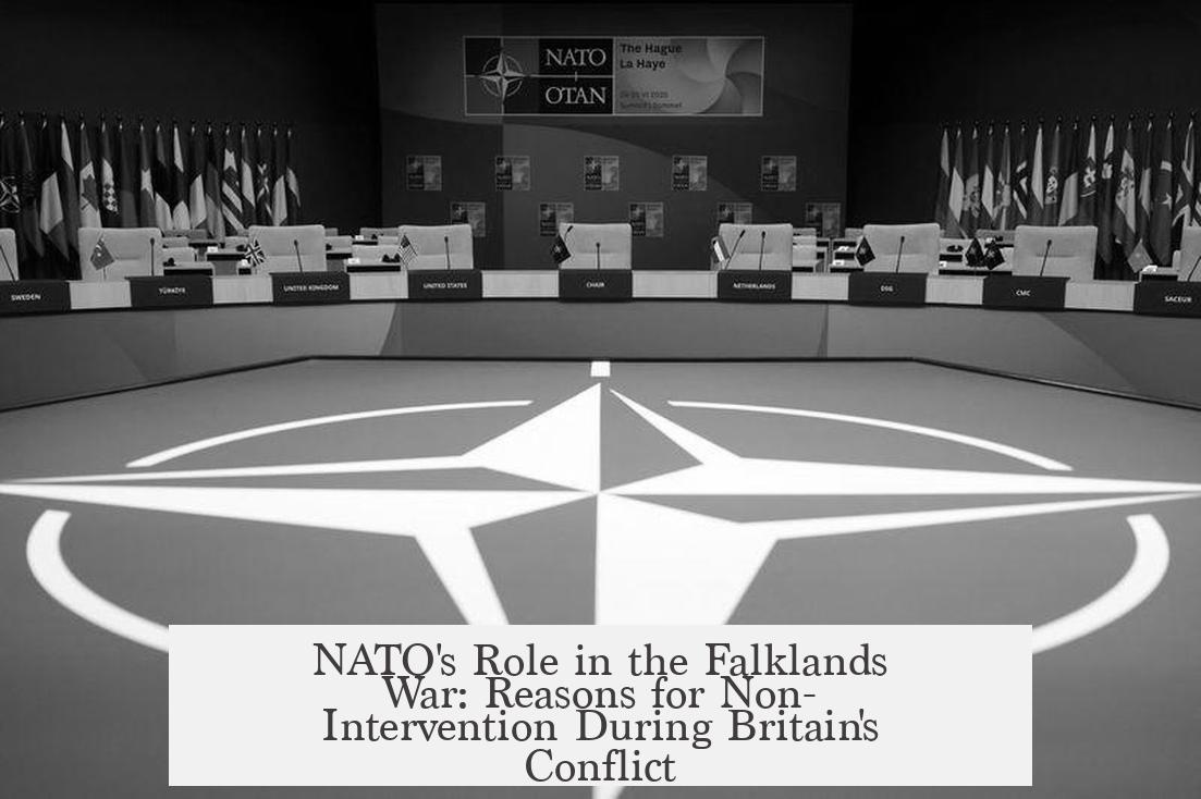 NATO's Role in the Falklands War: Reasons for Non-Intervention During Britain's Conflict