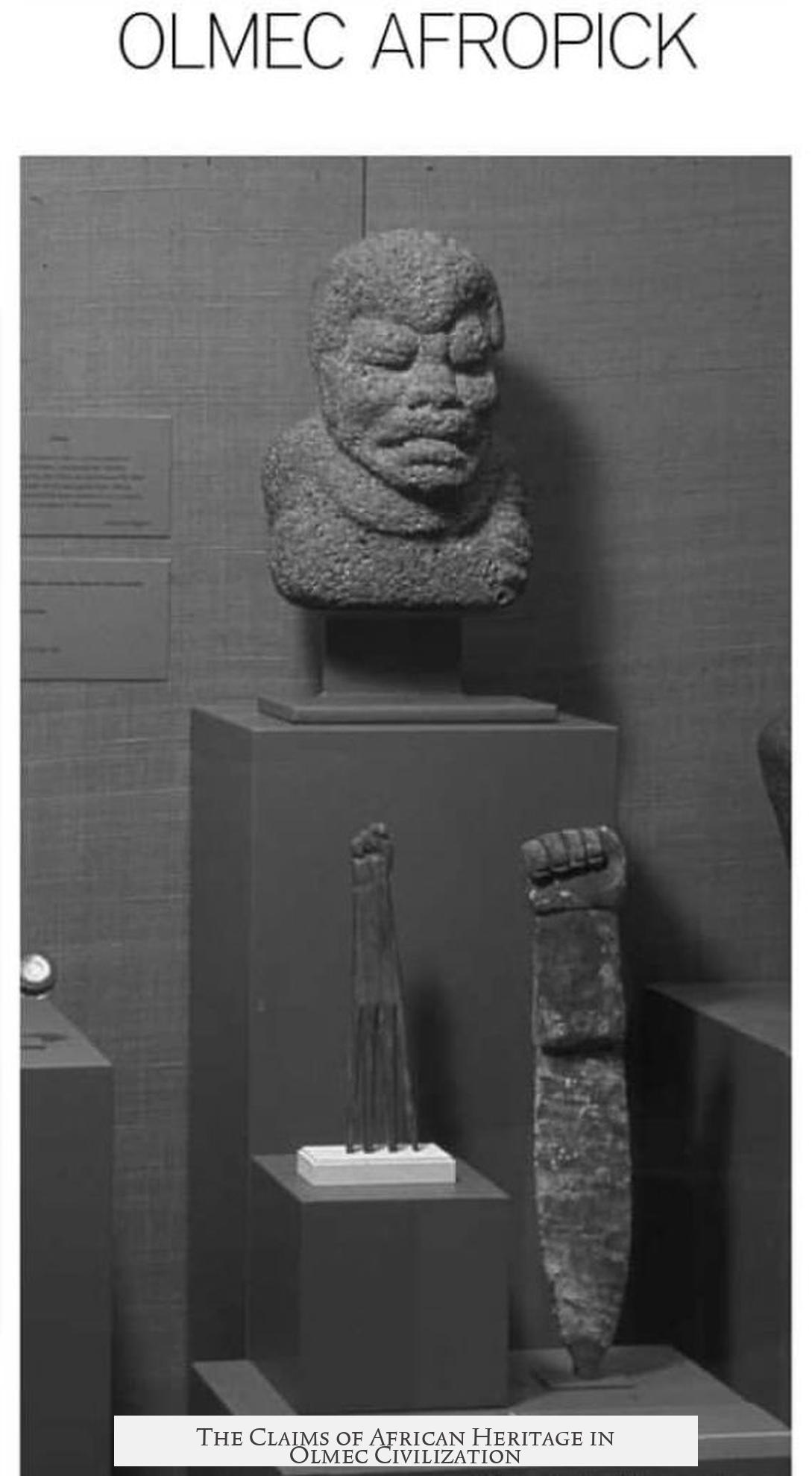 The Claims of African Heritage in Olmec Civilization