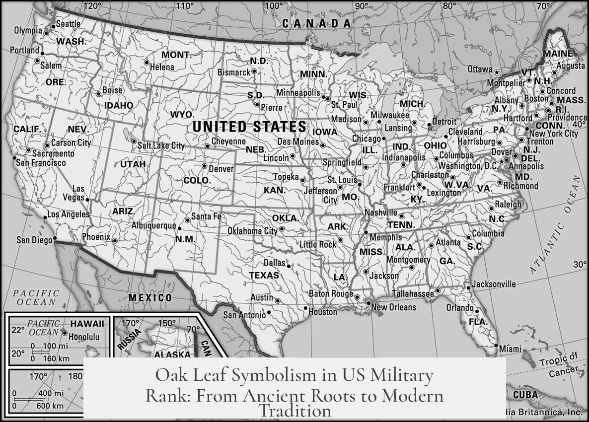 Oak Leaf Symbolism in US Military Rank: From Ancient Roots to Modern Tradition
