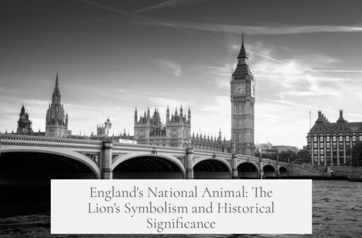 England's National Animal: The Lion's Symbolism and Historical Significance